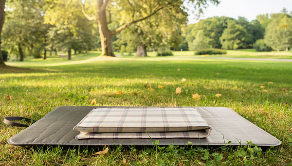 Picnic blanket and waterproof sitting mat in park